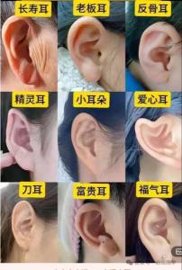 耳朵大的人壽命長嗎