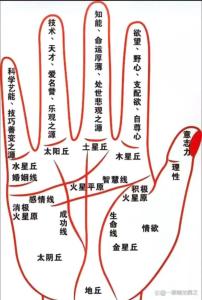 免費看手相太陽線 女人右手有太陽線代表什么
