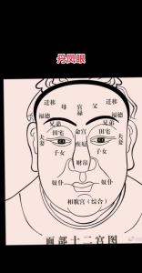 男人丹鳳眼的婚姻命運 男人鳳眼天生什么命