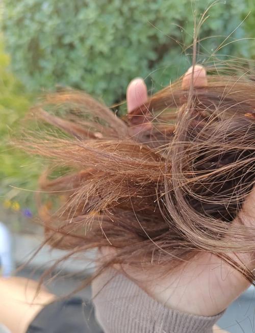 女人頭發(fā)干燥枯黃影響運勢嗎