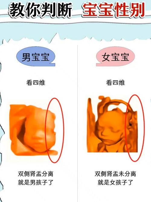 兒女雙全從面相上看出來??
