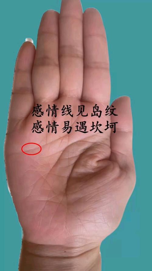 感情線上有島紋什么意思