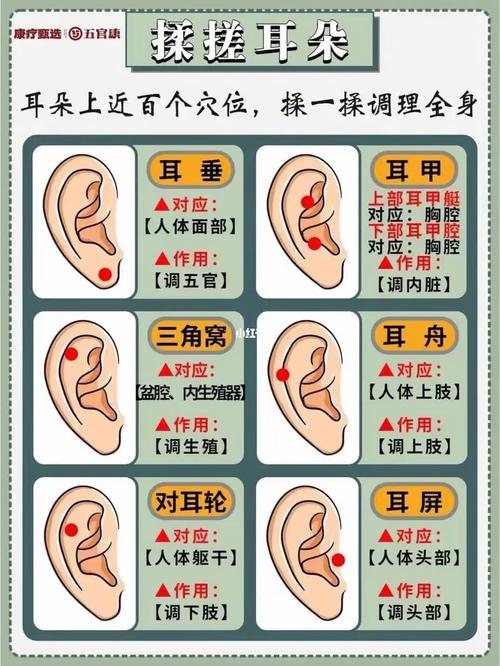 耳朵看一生運勢