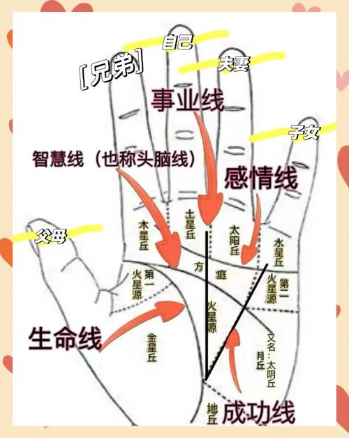中指預測你一生運勢