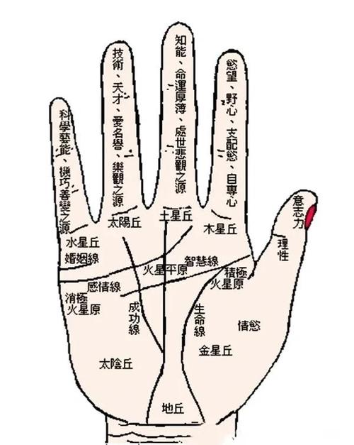手相也能看出是否愛國