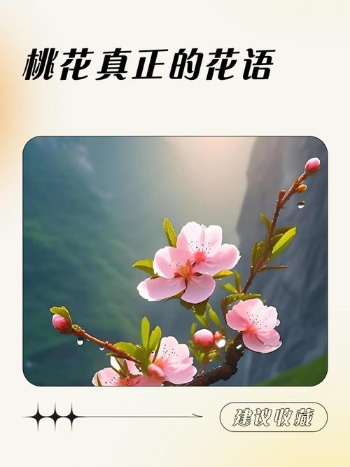 讓你早日摘得桃花歸的婚戀風水