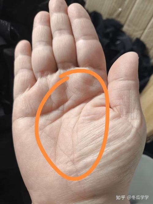 值得托付終身的男人手相