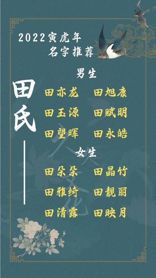 田姓男孩起名大全