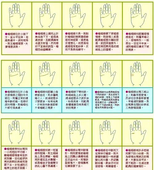 手相預知你的命運