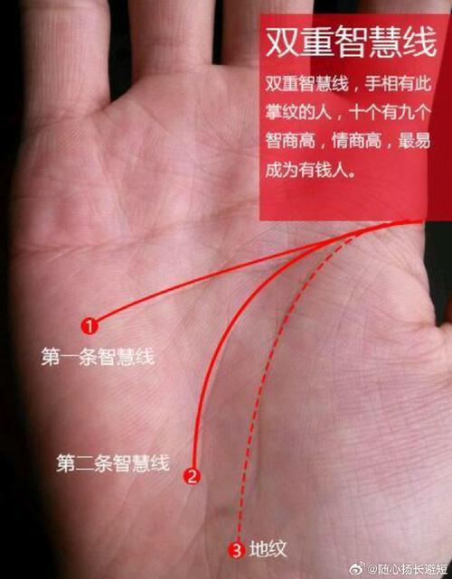 兩條智慧線好嗎