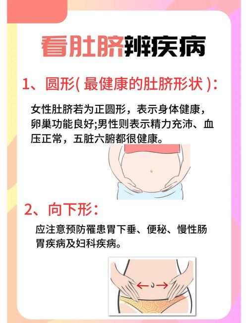 肚臍與人的智慧有關嗎