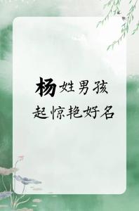 楊姓男寶寶大氣的名字