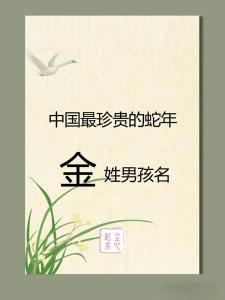 100分的金姓男孩名字