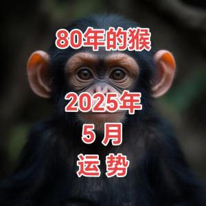 生肖猴2025年全年運勢1980年 80猴人2025年運勢運程