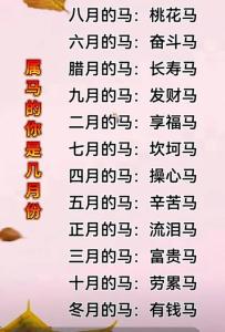 屬馬2024年財運幾月份好 屬馬2024年財運方向