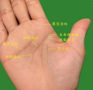 手相看你是不是貴人