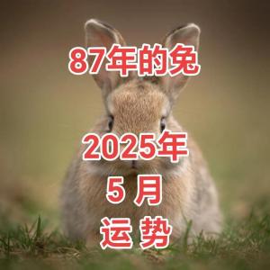 87年屬兔女在2025年的全年運(yùn)勢(shì)及每月運(yùn)勢(shì) 87年屬兔女在2025年的全年運(yùn)勢(shì)