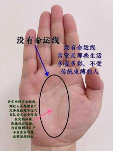 老來(lái)會(huì)有成就的命運(yùn)線