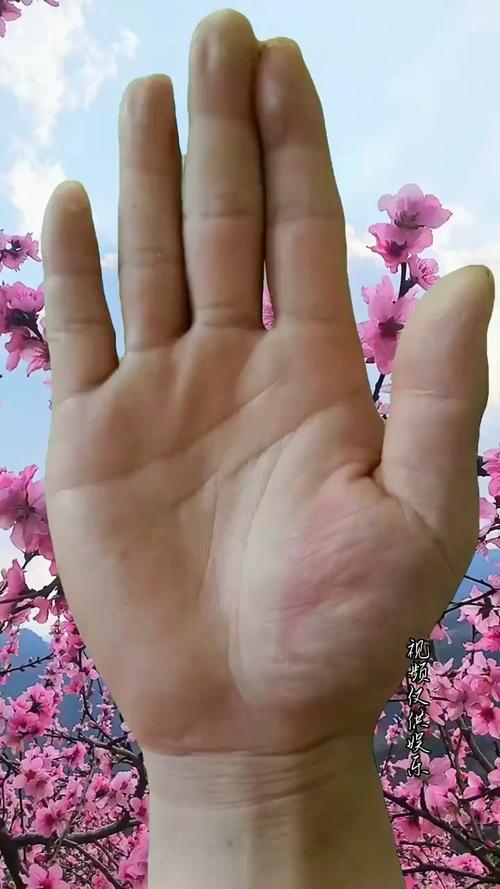 漏財手看哪里 什么樣的