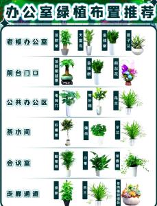 公司風水不好怎么自保 可以擺放風水植物