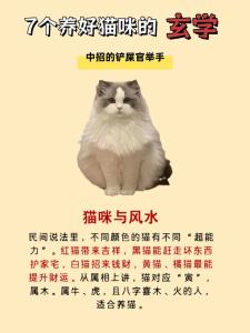 2020年家中來(lái)貓有什么風(fēng)水預(yù)兆