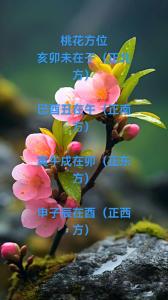八字沒有桃花星 桃花凋零感情遇阻礙