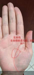 彎曲的命運線一生多波折是真的嗎