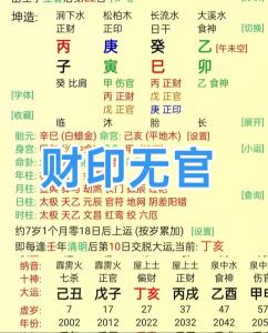 正月十一生孩子好嗎 名利雙收的八字命局