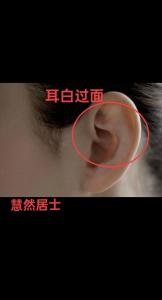 為什么說耳白過面者聲名遠(yuǎn)播