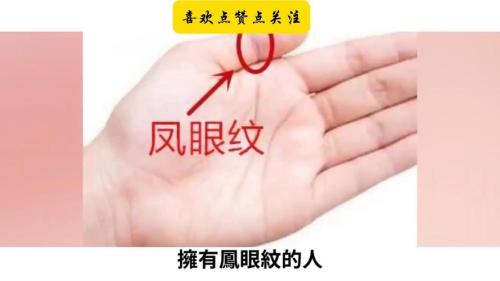左手有鳳眼紋的男人事業運好不好