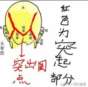 富貴枕骨相是什么樣的 枕骨和玉枕骨有區別嗎