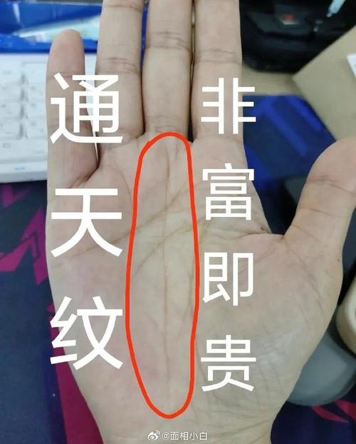 四十歲后步入事業(yè)坦途的男子手相