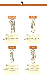 耳朵大有福氣嗎