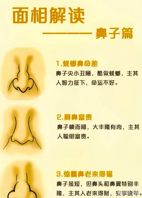 30種鼻子看你有沒有福氣