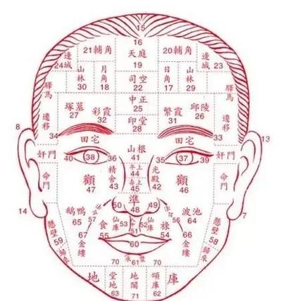 花心男面相分析之頭發(fā)