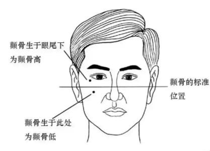 六種顴骨高的面相分析解析顴骨高的男人命運