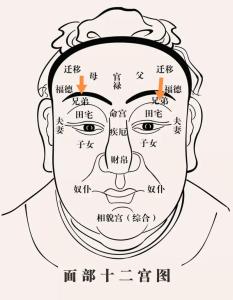 什么是兄弟宮