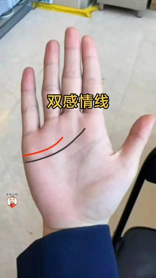 手相看雙感情線好嗎