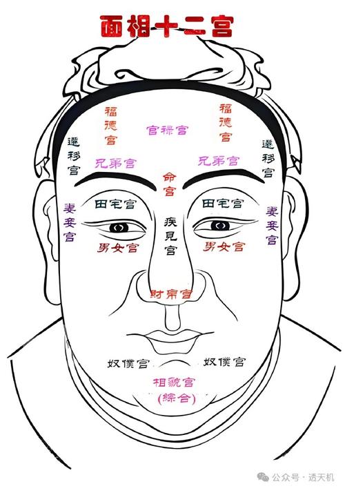八字解析：官祿宮看另一半是怎樣的