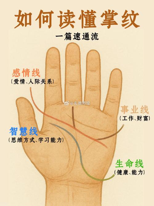 手相解讀你的創業能力