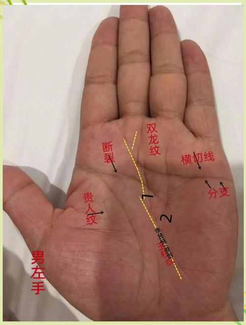 最忠實的手相