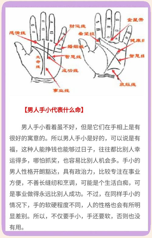 男人手小腳小是什么命