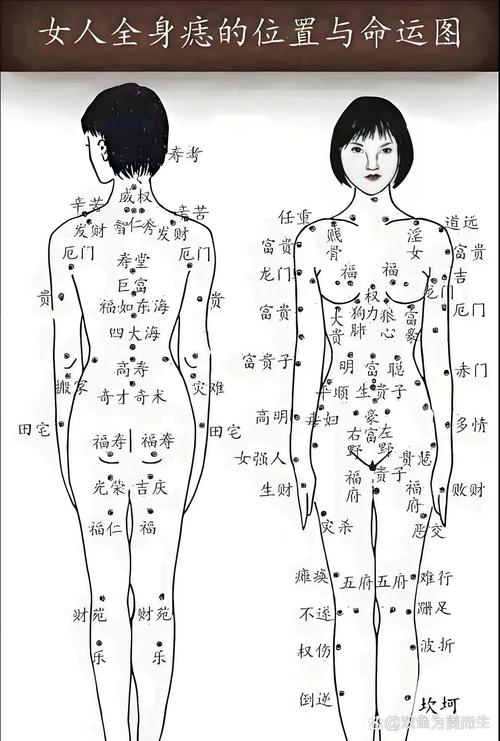手臂痣的位置與命運