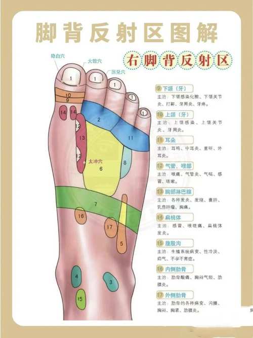 腳背不同位置的痣圖解