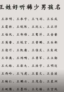 好聽的王姓男孩名大全