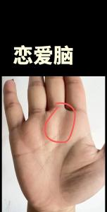 記憶力弱的女人手相