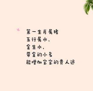 豬寶寶女孩起名技巧