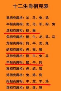 屬兔的貴人有哪些 屬兔最不敢惹的生肖