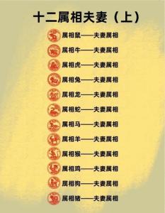 兩個人的性格分析 生肖男馬和女生肖豬配婚