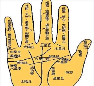 手相詳解五指道出人生百態